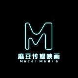 麻豆传媒数据情报站二维码